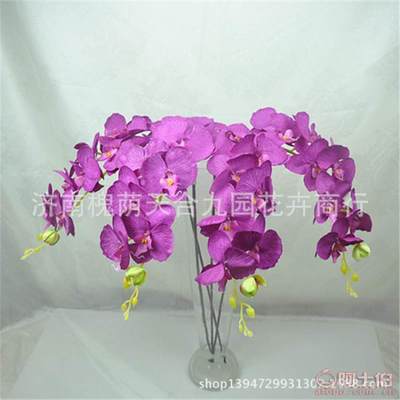 濟(jì)南槐蔭天合九園花卉商行 蝴蝶蘭仿真花批發(fā)市場的新選擇